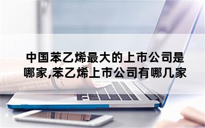 中国苯乙烯最大的上市公司是哪家,苯乙烯上市公司有哪几家