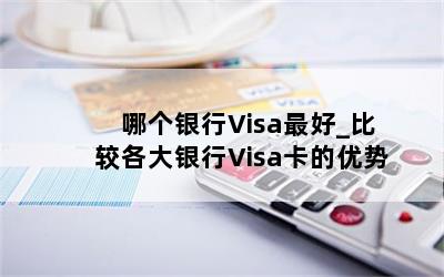 哪个银行Visa最好_比较各大银行Visa卡的优势