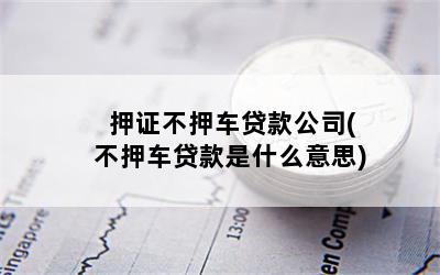 押证不押车贷款公司(不押车贷款是什么意思)