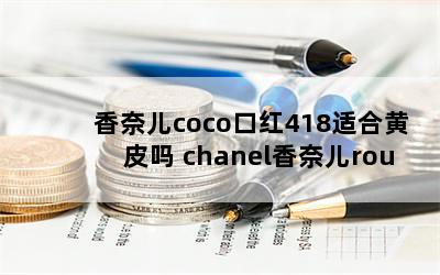 ζcocoں418ʺϻƤ chanelζrougecoco418ɫ 