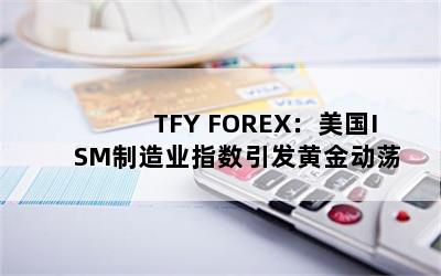 TFY FOREXISMҵָƽ𶯵