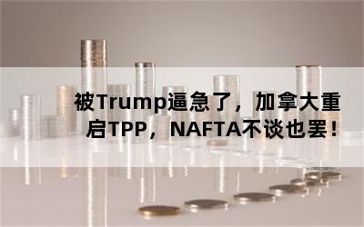 TrumpƼˣôTPPNAFTA̸Ҳգ