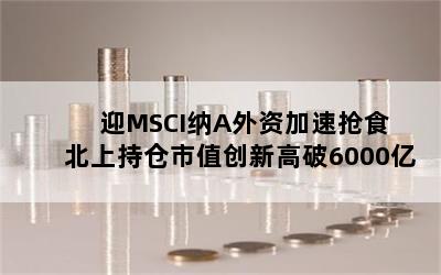 ӭMSCIAʼʳ ϳֲֵ¸6000(2)