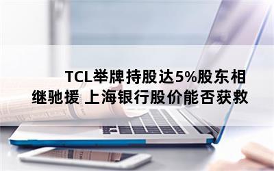 TCLƳֹɴ5%ɶ̳Ԯ Ϻйɼܷ