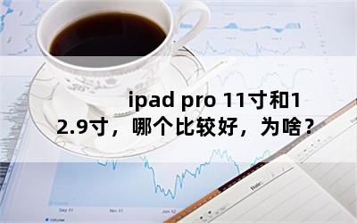 ipad pro 1112.9磬ĸȽϺãΪɶ