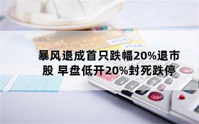 ˳ֻ20%й ̵Ϳ20%ͣ