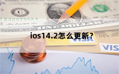 ios14.2ô£