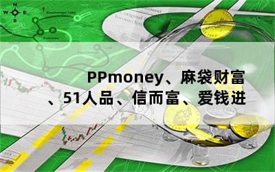 PPmoneyƸ51ƷŶǮ