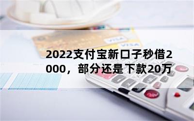 2022֧¿2000ֻ¿20