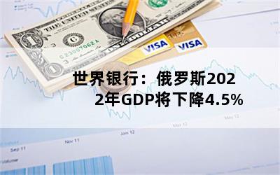 У˹2022GDP½4.5%