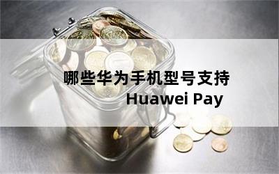 ЩΪֻͺ֧Huawei Pay