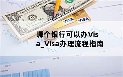  ĸп԰Visa_Visaָ