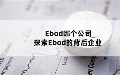  Ebodĸ˾_̽Ebodıҵ