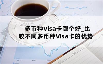  Visaĸ_ȽϲͬVisa