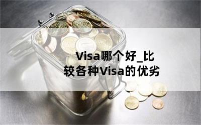  Visaĸ_ȽϸVisa