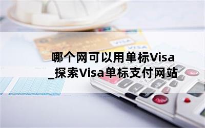  ĸõVisa_̽Visa֧վ