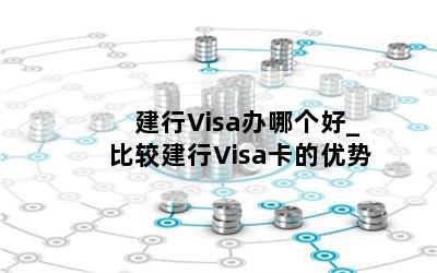  Visaĸ_ȽϽVisa