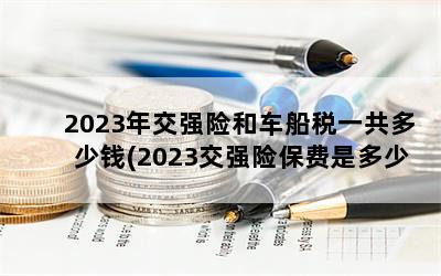 2023꽻ǿպͳ˰һǮ(2023ǿձǶ)