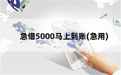 5000ϵ()