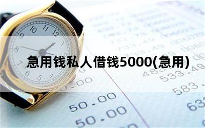 Ǯ˽˽Ǯ5000()