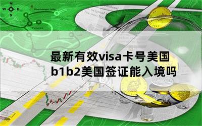 Чvisa b1b2ǩ֤뾳