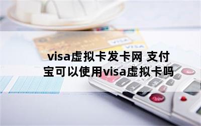 visa⿨ ֧ʹvisa⿨