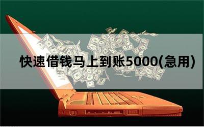 ٽǮϵ5000()