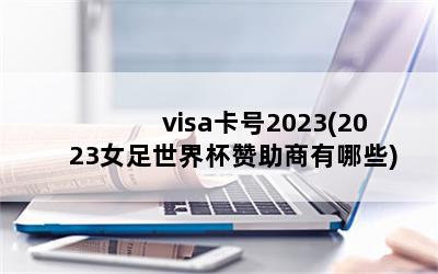 visa2023(2023Ů籭Щ)