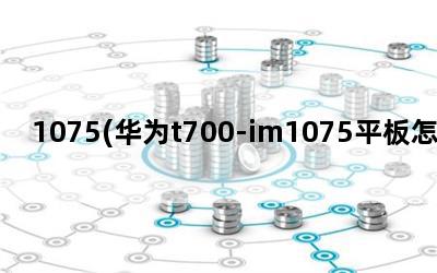 1075(Ϊt700-im1075ƽô)