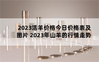 2023۸ռ۸ͼƬ 2023ɽ