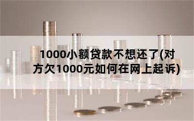 1000С뻹(ԷǷ1000Ԫ)