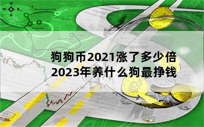 2021˶ٱ 2023ʲôǮ