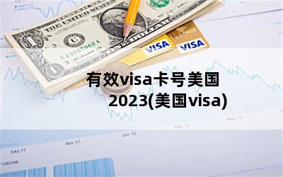 Чvisa 2023(visa)