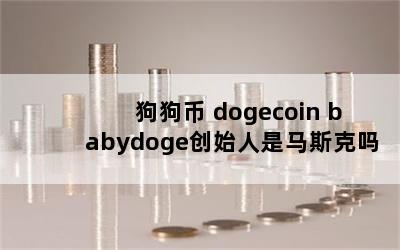  dogecoin babydogeʼ˹