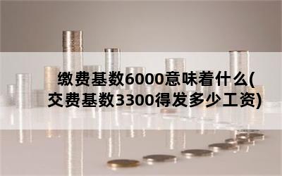 ɷѻ6000ζʲô(ѻ3300÷ٹ)