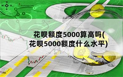 ¶5000(5000ʲôˮƽ)