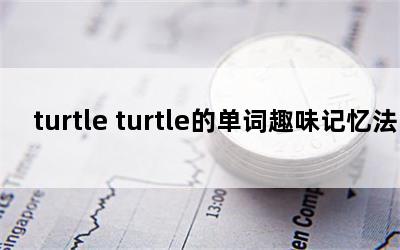 turtle turtleĵȤζ䷨