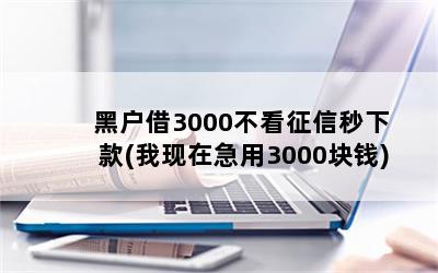 ڻ3000¿(ڼ3000Ǯ)