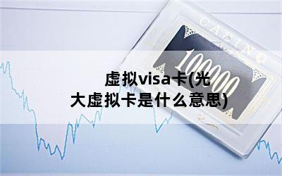 visa(⿨ʲô˼)