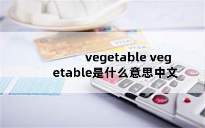 vegetable vegetableʲô˼