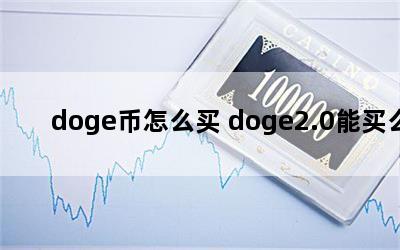 dogeô doge2.0ô